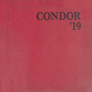 cover image of Aliquippa - Condor - 1919